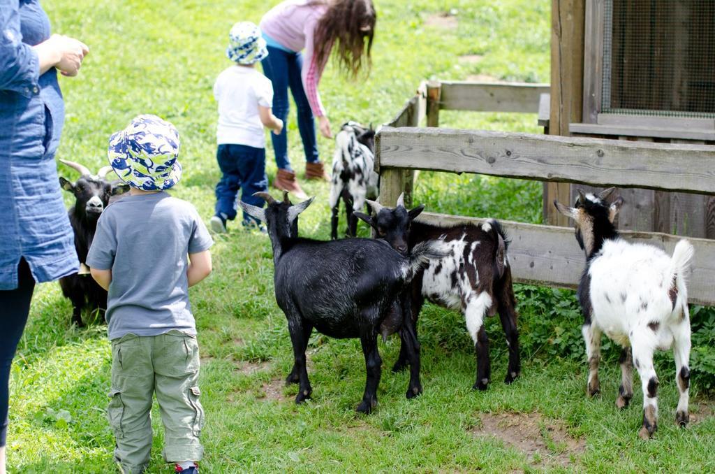 Kinderhotel Appelhof Mürzsteg Esterno foto