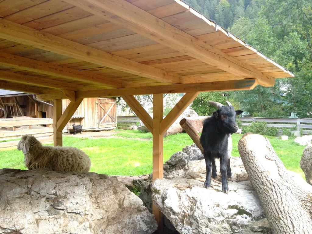 Kinderhotel Appelhof Mürzsteg Esterno foto