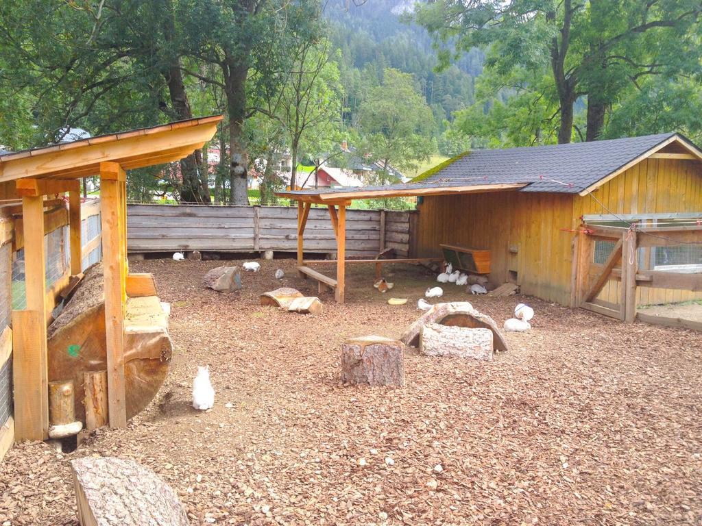 Kinderhotel Appelhof Mürzsteg Esterno foto