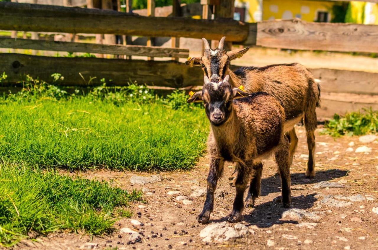 Kinderhotel Appelhof Mürzsteg Esterno foto