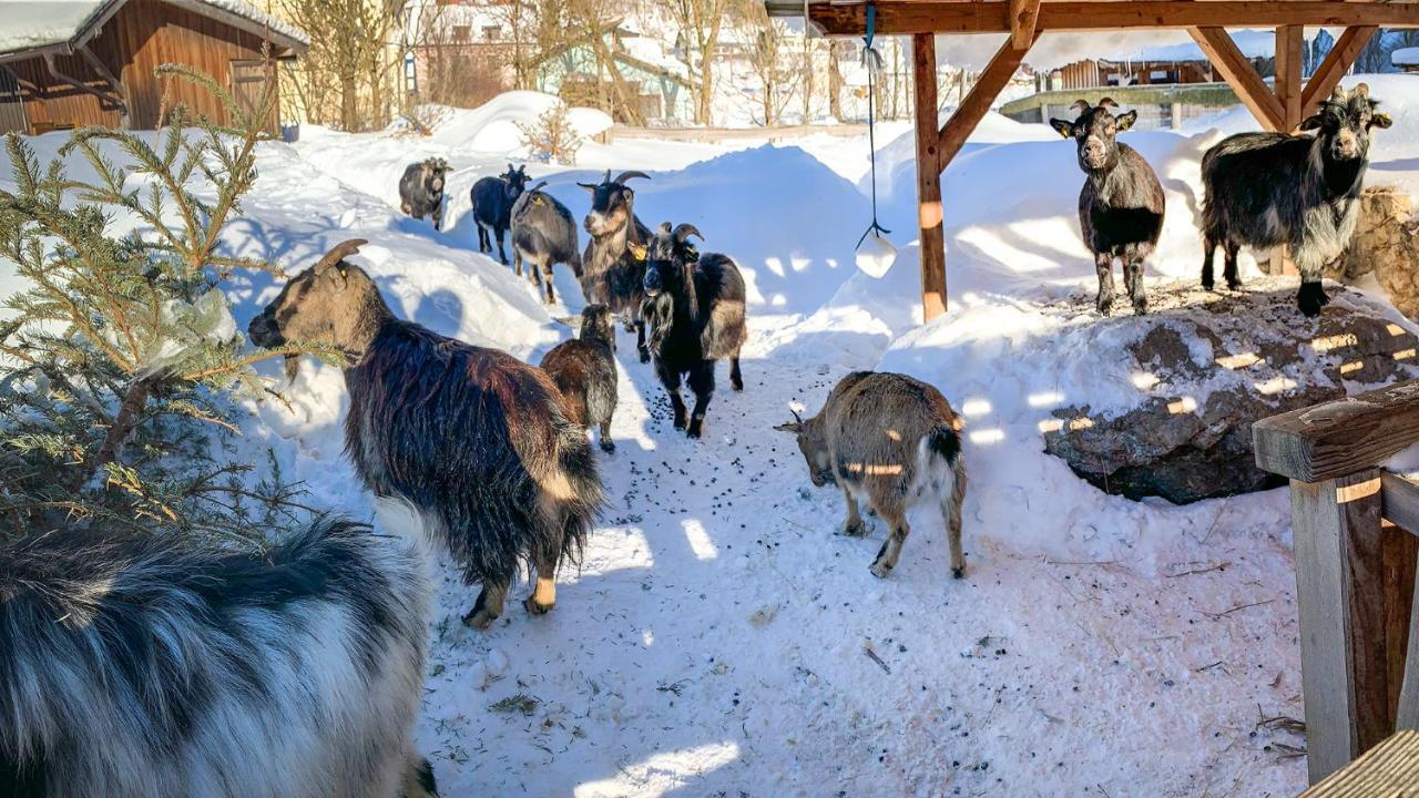 Kinderhotel Appelhof Mürzsteg Esterno foto