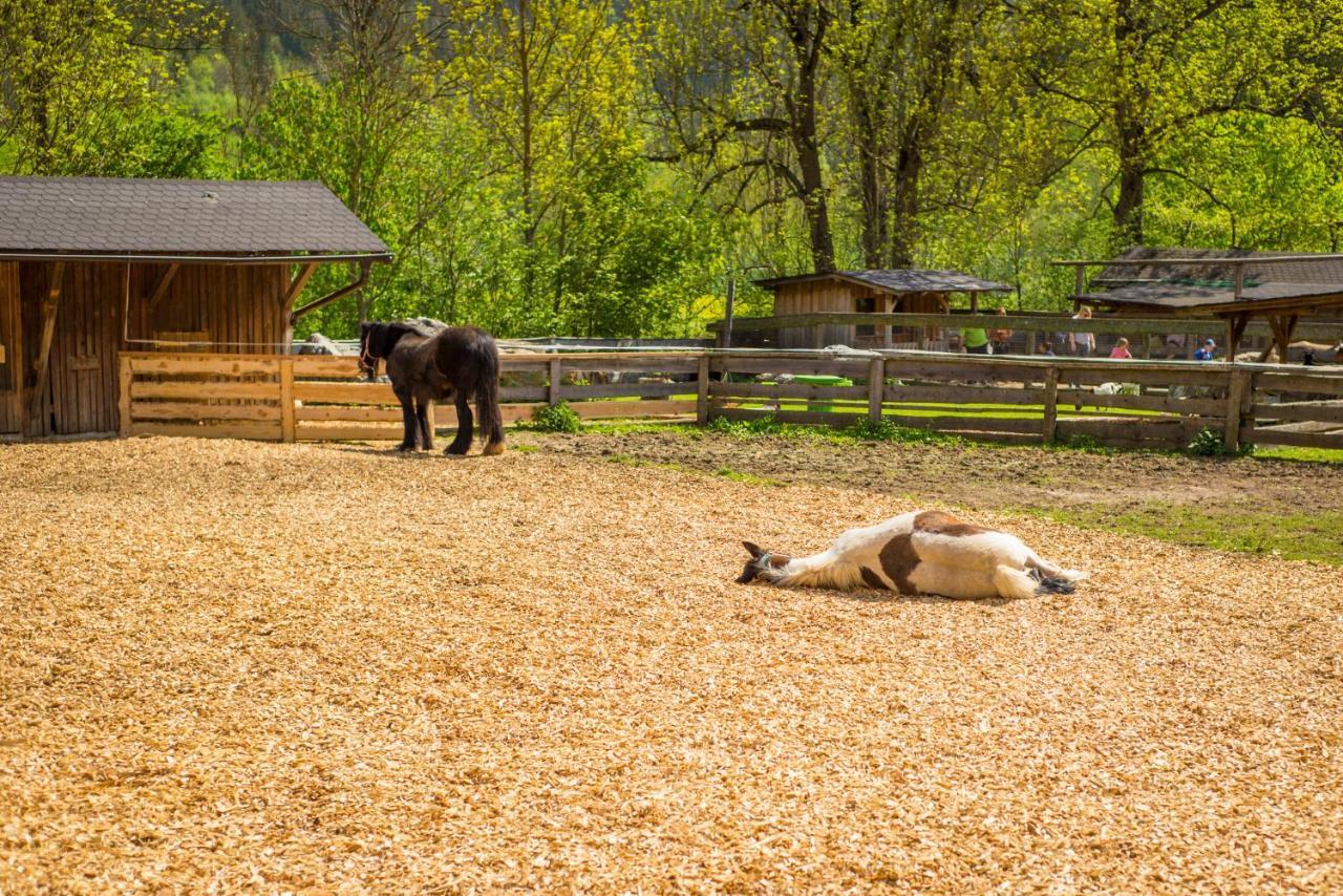 Kinderhotel Appelhof Mürzsteg Esterno foto