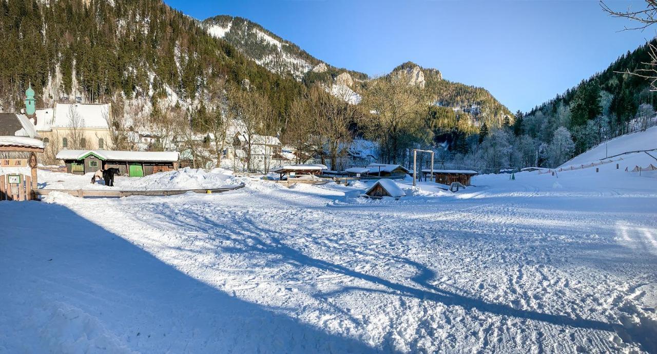 Kinderhotel Appelhof Mürzsteg Esterno foto