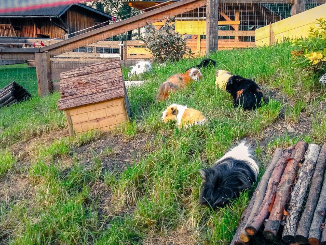 Kinderhotel Appelhof Mürzsteg Esterno foto